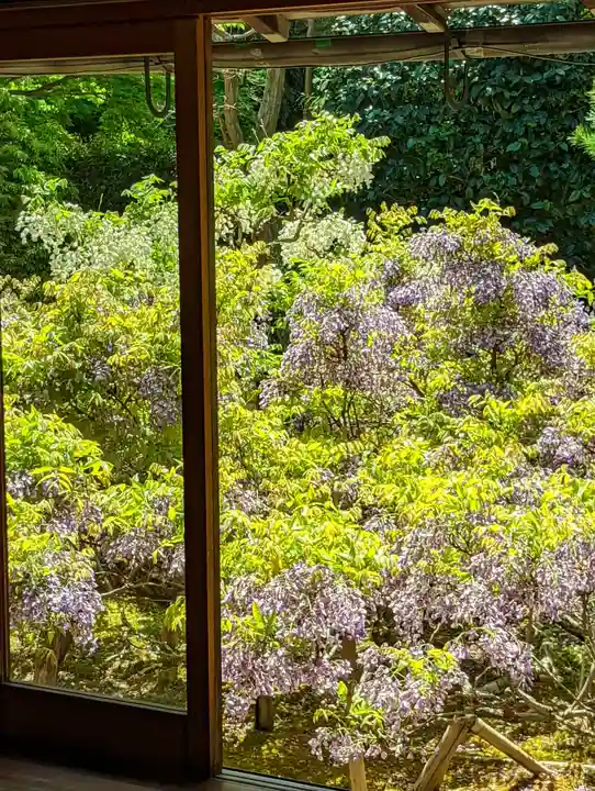 長慶院(京都府)