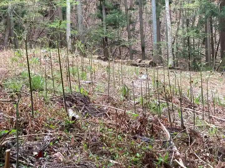 子檀嶺神社中社(長野県)