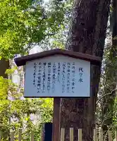 明治神宮(東京都)