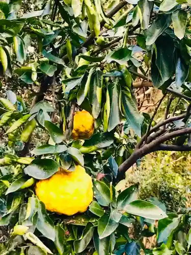 金嶽神社の自然