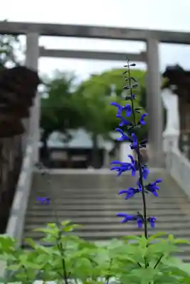 伊勢山皇大神宮(神奈川県)