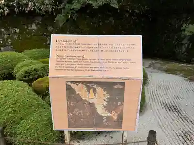 知恩院(京都府)