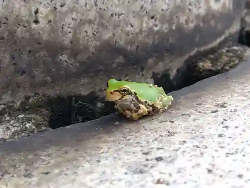 白山神社(福井県)