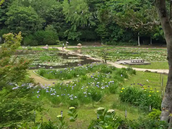 常盤神社(山口県)