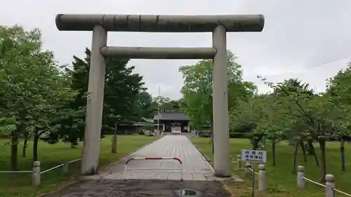 札幌護國神社の鳥居