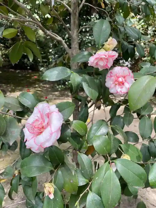 城南宮(京都府)