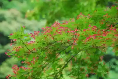 大寧寺(山口県)