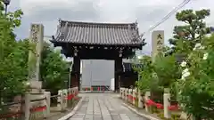 妙蓮寺の山門