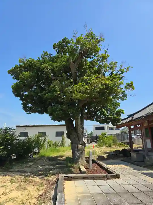 家原寺(大阪府)