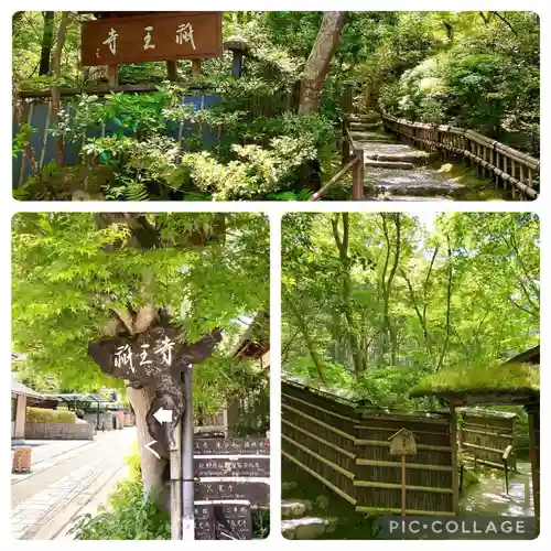 祇王寺(京都府)