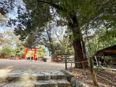 賀茂御祖神社（下鴨神社）(京都府)