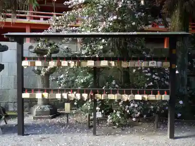 石清水八幡宮の絵馬