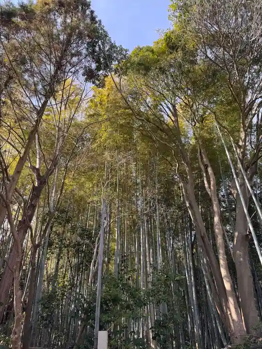 唐招提寺(奈良県)