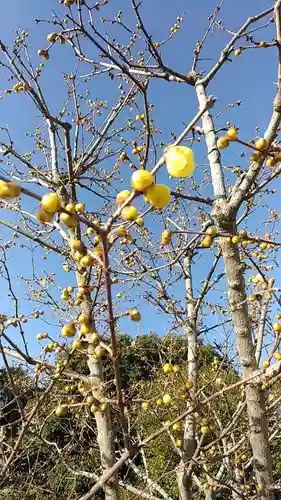 比佐豆知神社(三重県)