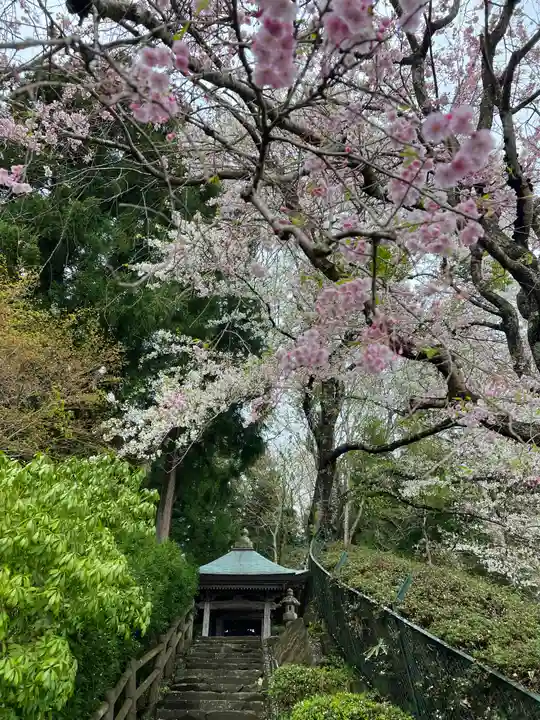 高館義経堂の自然