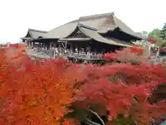 清水寺(京都府)