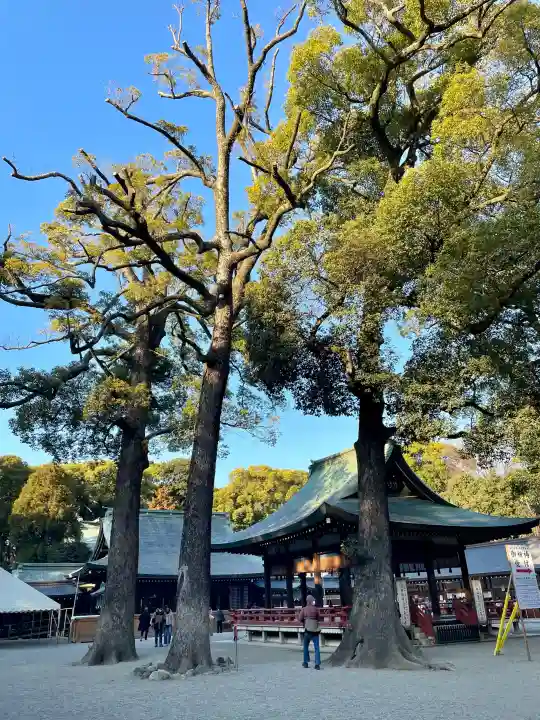 武蔵一宮氷川神社の{uncategorized: "未分類", other: "その他", undefined: "問題あり", building: "その他建物", grave: "お墓", sacred_gate: "鳥居", guardian: "狛犬", statue: "像", buddha: "仏像", history: "歴史", nature: "自然", garden: "庭園", animal: "動物", pagoda: "塔", temizu: "手水舎", mountain_gate: "山門・神門", sanctuary: "本殿・本堂", subordinate: "末社・摂社", art: "芸術", scenery: "景色", jizo: "地蔵", ema: "絵馬", goshuin: "御朱印", omikuji: "おみくじ", items: "授与品その他", amulet: "お守り", goshuincho: "御朱印帳", eats: "食事", festival: "お祭り", votive_dance: "神楽", shichigosan: "七五三参", wedding: "結婚式", experience: "体験その他", initially: "初詣", around: "周辺", anti_infection: "感染症対策"}