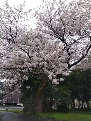 江守神社(福井県)
