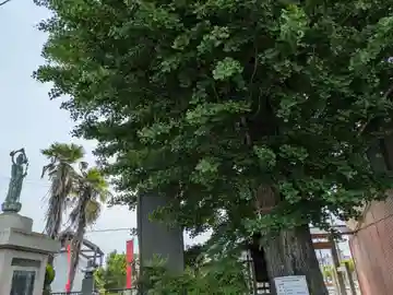 求浄庵(岐阜県)