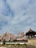 長松院(福島県)