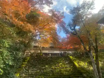 高源寺(兵庫県)