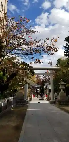 松戸神社の鳥居