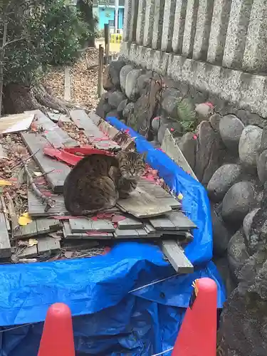 水野社の動物