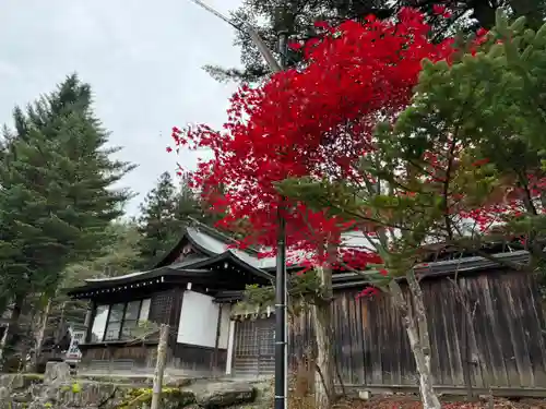 諏訪大社(長野県)