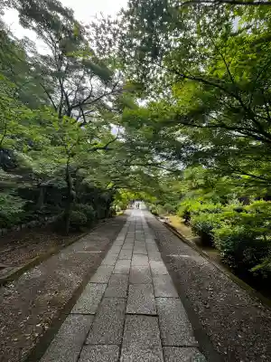 養源院の{uncategorized: "未分類", other: "その他", undefined: "問題あり", building: "その他建物", grave: "お墓", sacred_gate: "鳥居", guardian: "狛犬", statue: "像", buddha: "仏像", history: "歴史", nature: "自然", garden: "庭園", animal: "動物", pagoda: "塔", temizu: "手水舎", mountain_gate: "山門・神門", sanctuary: "本殿・本堂", subordinate: "末社・摂社", art: "芸術", scenery: "景色", jizo: "地蔵", ema: "絵馬", goshuin: "御朱印", omikuji: "おみくじ", items: "授与品その他", amulet: "お守り", goshuincho: "御朱印帳", eats: "食事", festival: "お祭り", votive_dance: "神楽", shichigosan: "七五三参", wedding: "結婚式", experience: "体験その他", initially: "初詣", around: "周辺", anti_infection: "感染症対策"}