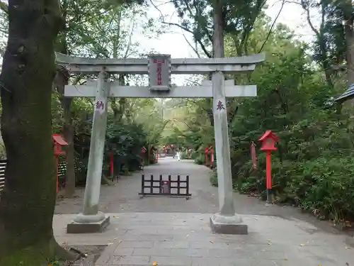 冠稲荷神社の鳥居