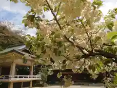 上地八幡宮の自然