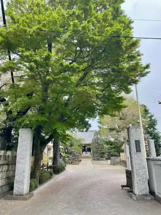東光寺の{uncategorized: "未分類", other: "その他", undefined: "問題あり", building: "その他建物", grave: "お墓", sacred_gate: "鳥居", guardian: "狛犬", statue: "像", buddha: "仏像", history: "歴史", nature: "自然", garden: "庭園", animal: "動物", pagoda: "塔", temizu: "手水舎", mountain_gate: "山門・神門", sanctuary: "本殿・本堂", subordinate: "末社・摂社", art: "芸術", scenery: "景色", jizo: "地蔵", ema: "絵馬", goshuin: "御朱印", omikuji: "おみくじ", items: "授与品その他", amulet: "お守り", goshuincho: "御朱印帳", eats: "食事", festival: "お祭り", votive_dance: "神楽", shichigosan: "七五三参", wedding: "結婚式", experience: "体験その他", initially: "初詣", around: "周辺", anti_infection: "感染症対策"}