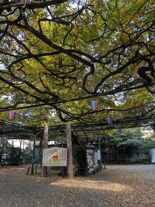 國領神社(東京都)
