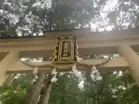飛瀧神社(熊野那智大社別宮)(和歌山県)