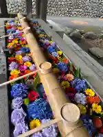 群馬県護国神社(群馬県)