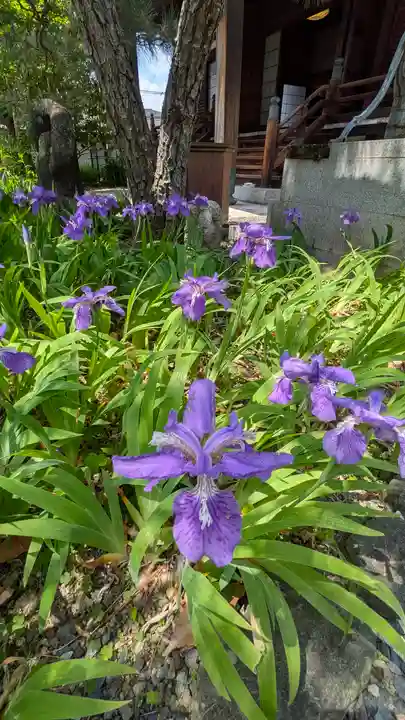 得浄明院(善光寺別院)(京都府)