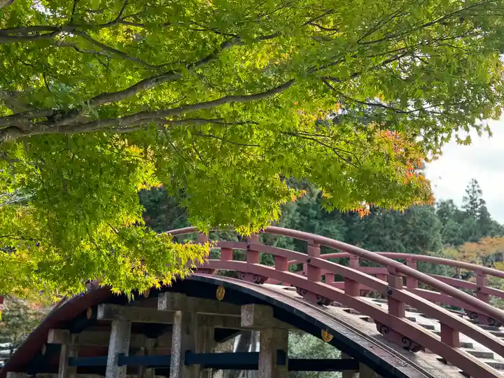丹生都比売神社(和歌山県)