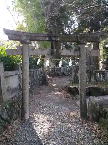 朝倉神社の鳥居