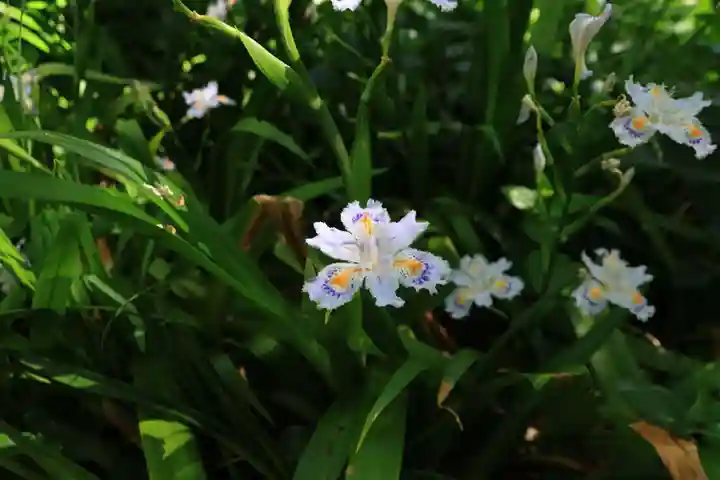 愛宕神社の庭園