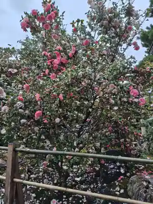 御香宮神社(京都府)