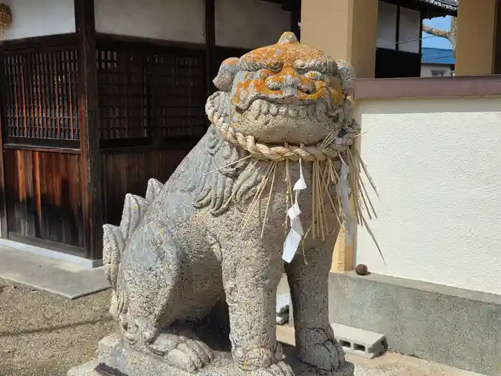 崎宮神社の狛犬