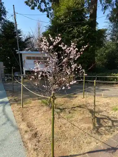 思金神社の自然