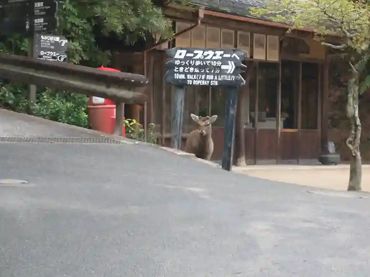 厳島神社(広島県)