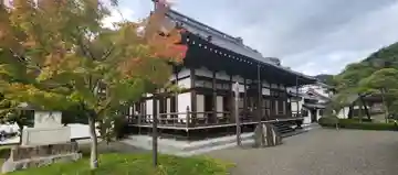 安洞院の本殿・本堂