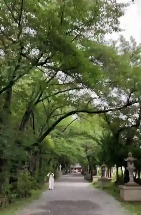 冨士御室浅間神社(山梨県)