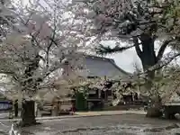 寛永寺(根本中堂)(東京都)