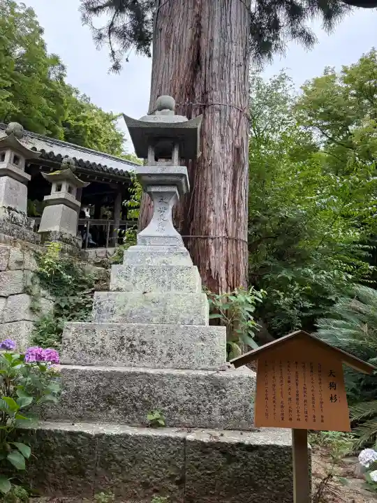 長谷寺(奈良県)