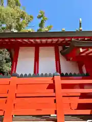 亀之森住吉神社(大阪府)