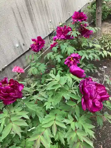 慈眼寺(神奈川県)