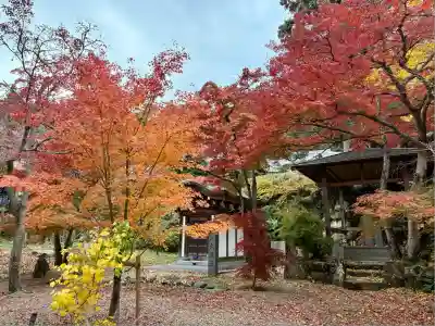 鷲林寺(兵庫県)